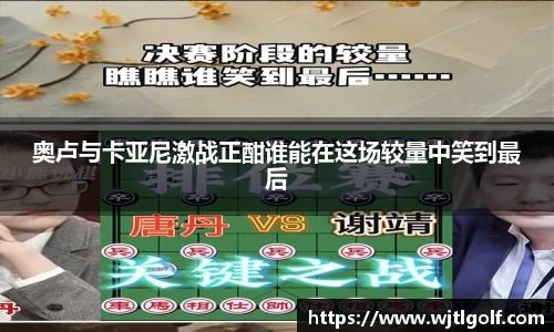 奥卢与卡亚尼激战正酣谁能在这场较量中笑到最后